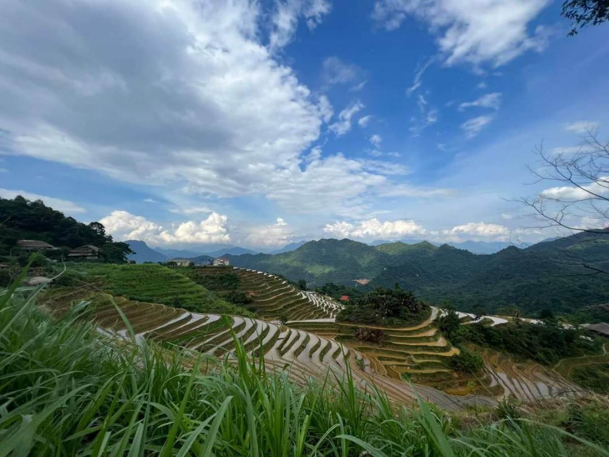 EASY RIDER 12 DAYS FROM HANOI TO DA NANG VIA HOCHI MINH TRAIL